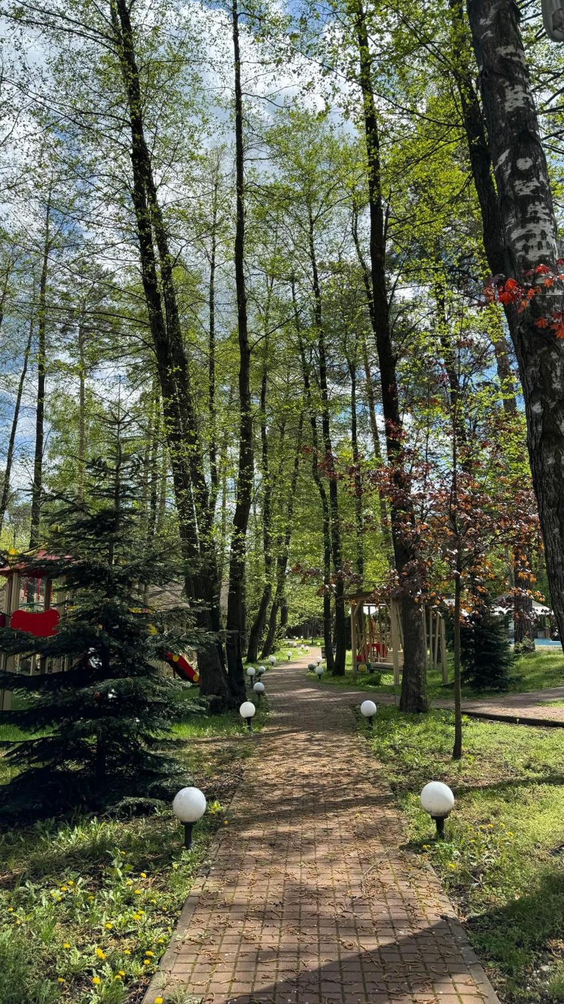 Tysha Forest Club Romankiv エクステリア 写真